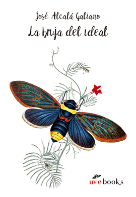 LA BRUJA DEL IDEAL