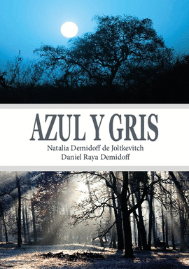 AZUL Y GRIS