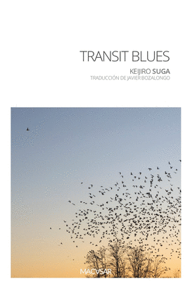 TRANSIT BLUES