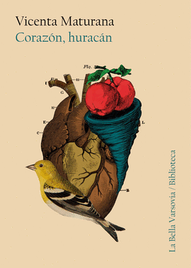 CORAZ�N, HURAC�N