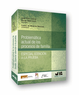PROBLEM�TICA ACTUAL DE LOS PROCESOS DE FAMILIA. ESPECIAL ATENCI�N A LA PRUEBA