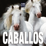 CABALLOS XL