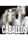CABALLOS
