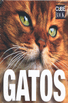 GATOS CUBE BOOK