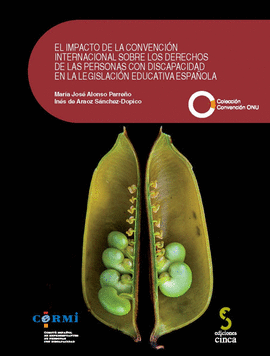 IMPACTO CONVENCION INTERNACIONAL DERECHOS PERSONAS DISCAP