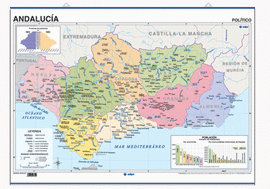 ANDALUCA, FSICO / POLTICO PSTER