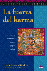 LA FUERZA DEL KARMA