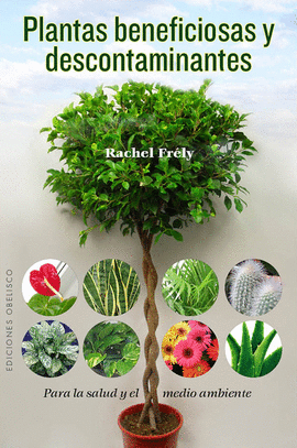 PLANTAS BENEFICIOSAS Y DESCONTAMINA