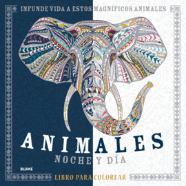 ANIMALES. NOCHE Y DA