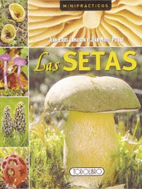 LAS SETAS