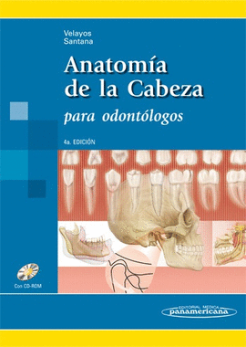 ANATOMA DE LA CABEZA