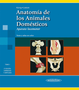 ANATOMIA DE LOS ANIMALES DOMESTICOS - TOMO I