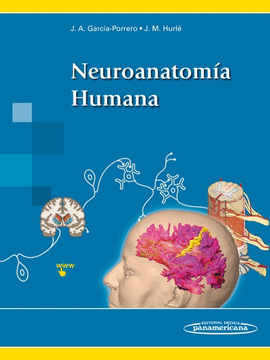 NEUROANATOM�A HUMANA