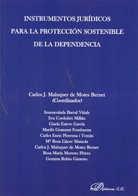 INSTRUMENTOS JUR�DICOS PARA LA PROTECCI�N SOSTENIBLE DE LA DEPENDENCIA