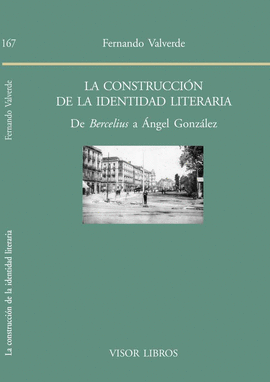 LA CONSTRUCCI�N DE LA IDENTIDAD LITERARIA