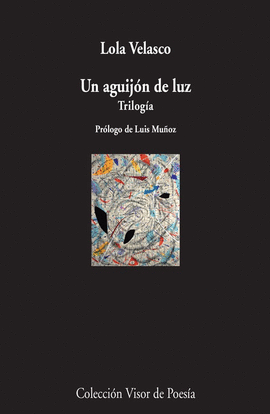 UN AGUIJ�N DE LUZ