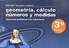 APRENDER Y REPASAR, GEOMETR�A, C�LCULO, N�MEROS Y MEDIDAS, 3� EDUCACI�N PRIMARIA