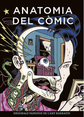 ANATOMIA DEL C.MIC