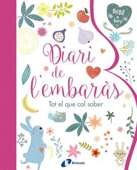 DIARI DE L ' EMBAR�S. TOT EL QUE CAL SABER