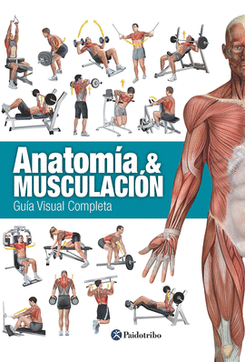ANATOM�A & MUSCULACI�N. GU�A VISUAL COMPLETA (COLOR)