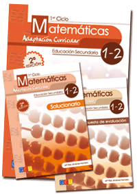 MATEMATICA EDUCACION  ADAPTACION CURR