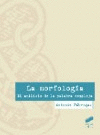 MORFOLOGIA EL ANALISIS DE LA PALABRA COMPLEJA