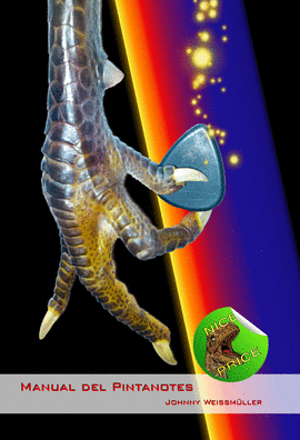 MANUAL DEL PINTANOTES