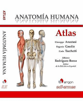 ATLAS ANATOMA HUMANA