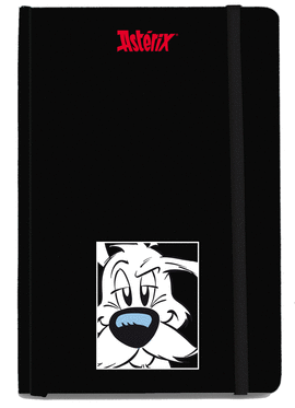 CUADERNO GRANDE AST�RIX. ID�FIX