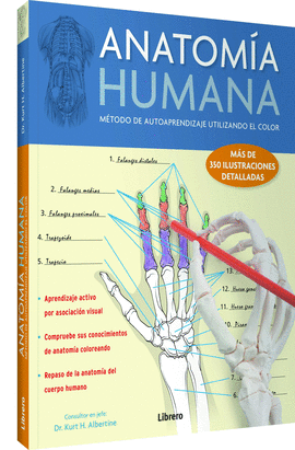 ANATOMA HUMANA ( APRENDER CON EL COLOR)