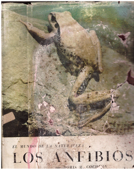 EL MUNDO DE LA NATURALEZA LOS ANFIBIOS