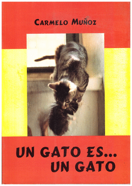 UN GATO ES... UN GATO