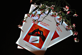 POEMARIO CONVERSANDO CONMIGO EN NOCHES DE SILENCIO