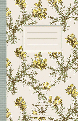 CADERNO TOXO. IRMS CARTON