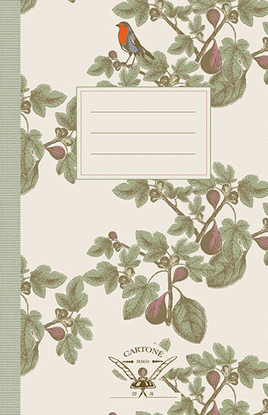 CADERNO FIGO. IRM�S CARTON�