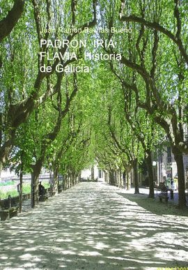 PADRN, IRIA FLAVIA. HISTORIA DE GALICIA