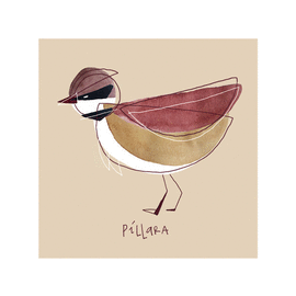 L�MINA P�LLARA 23X23. BLANCA ESCRIGAS
