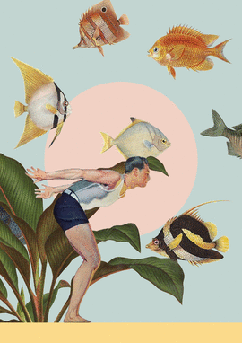 L�MINA PECES. MARY DE LIRIOS