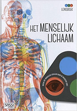 EL CUERPO HUMANO