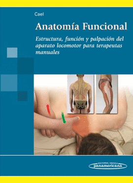 ANATOM�A FUNCIONAL