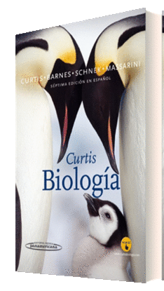 CURTIS. BIOLOGA (+ E-BOOK)