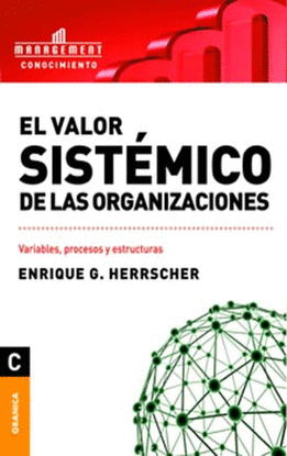 VALOR SISTMICO EN LAS ORGANIZACIONES