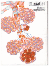 SISTEMA RESPIRATORIO MINIATLAS