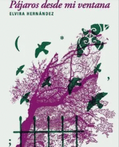 PAJAROS DESDE MI VENTANA