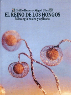 EL REINO DE LOS HONGOS : MICOLOGA BSICA Y APLICADA