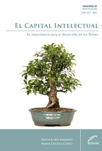 EL CAPITAL INTELECTUAL	SU IMPORTANCIA PARA EL DESARROLLO DE