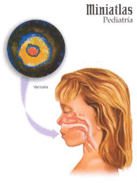 PEDIATRIA MINIATLAS