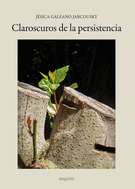 CLAROSCUROS DE LA PERSISTENCIA