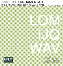 PRINCIPIOS FUNDAMENTALES DE LA RESPONSABILIDAD PENAL JUVENIL