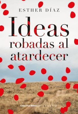 IDEAS ROBADAS AL ATARDECER